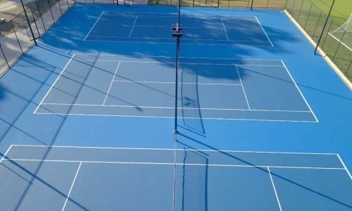 over-net-shot